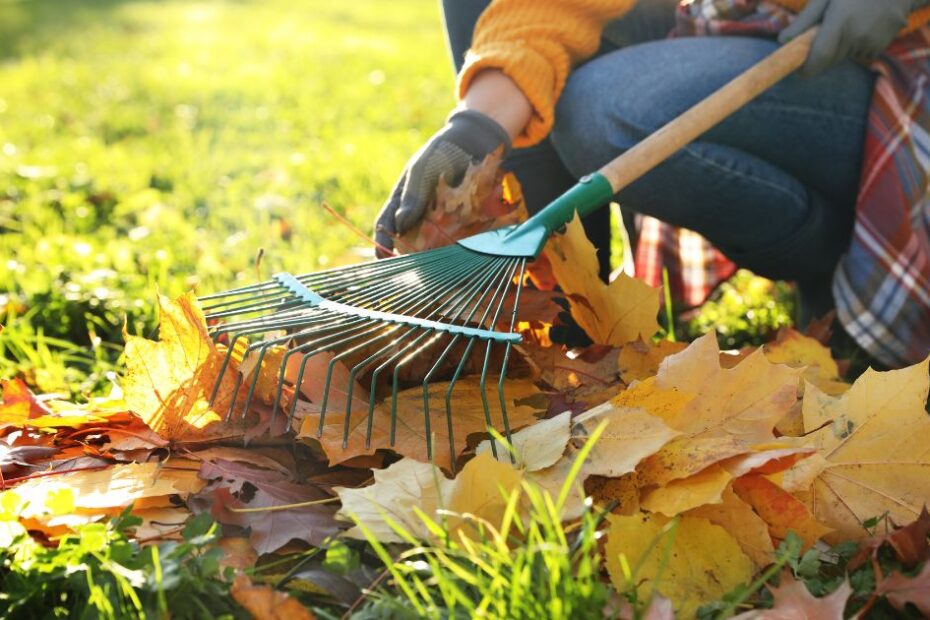 10 Things to Do This Fall to Keep Your Home in Tip-Top Shape