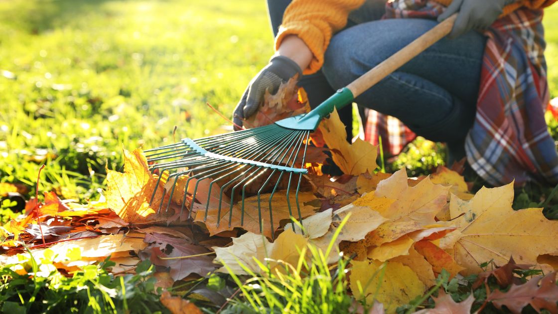 10 Things to Do This Fall to Keep Your Home in Tip-Top Shape